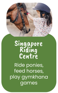 SCC Wildlife-01 Student Care Singapore