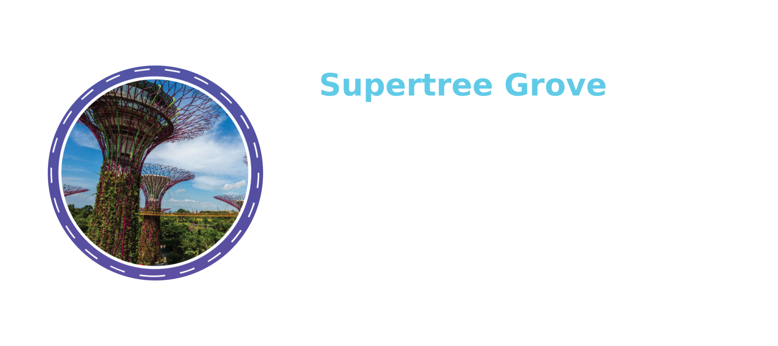 Student Care Singapore